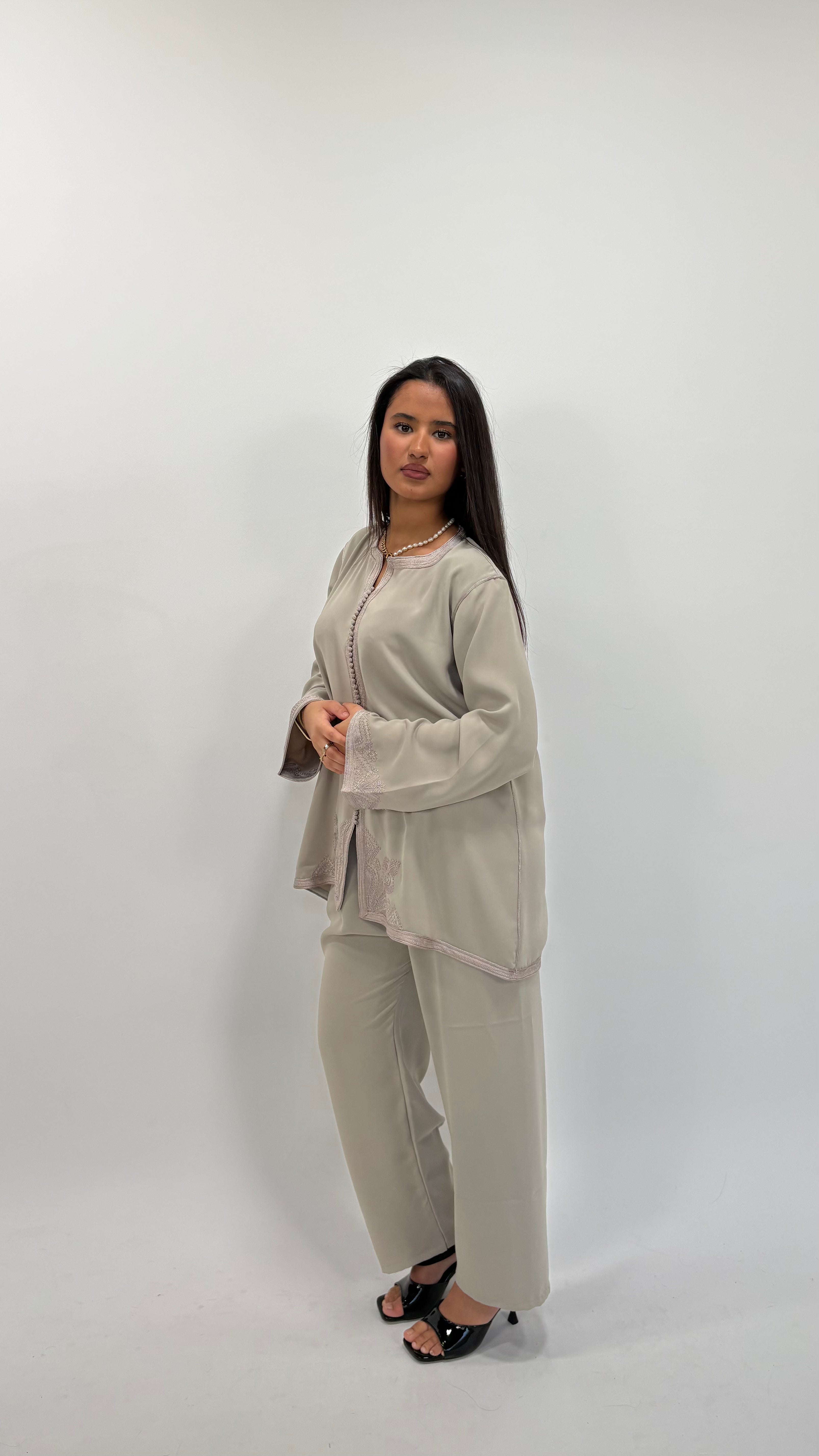 Ensemble SALMA